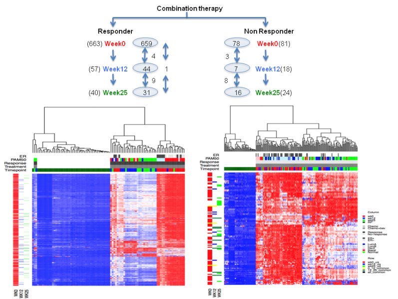 Figure 2. Normal to cancer.